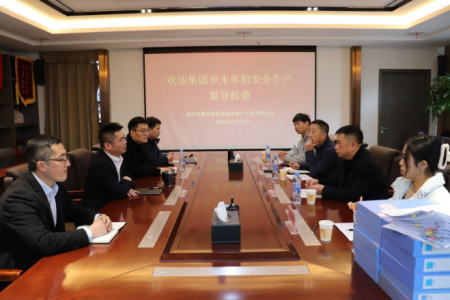 集团安管部一行赴德赢VWIN地产公司开展 岁末年头清静生产督导检查